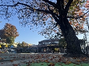 冬の気配が・・・